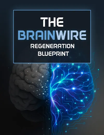 The Brainwire Regeneration Blueprint guide